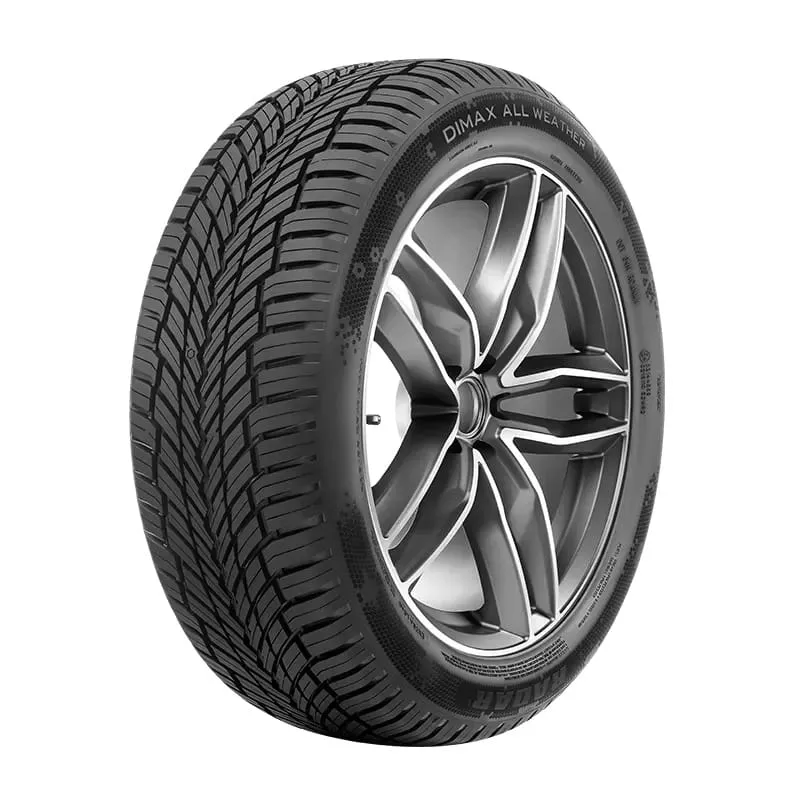 Anvelopă RADAR DIMAX ALLSEASON 205/55 R17 95W XL All Season
